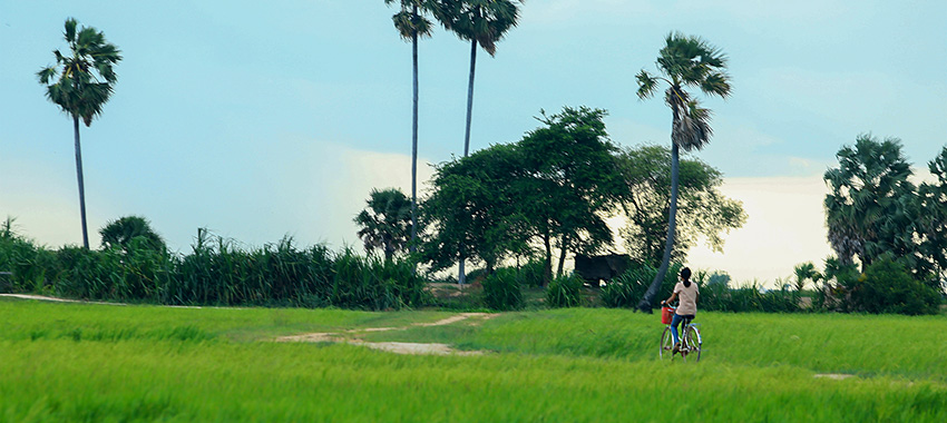 Family Cycling in Angkor