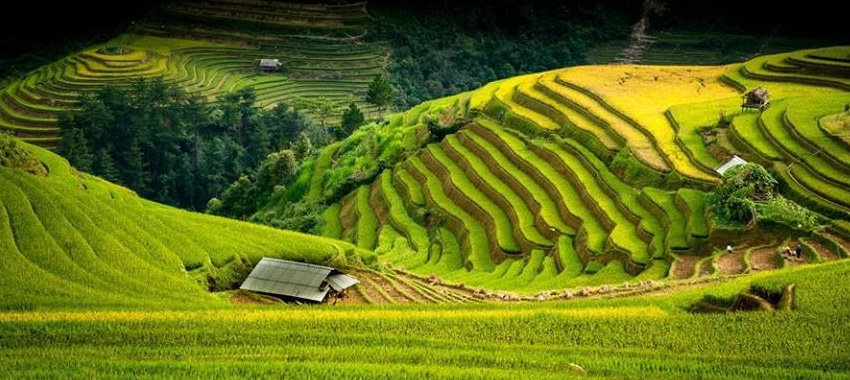 Wonderful North Vietnam